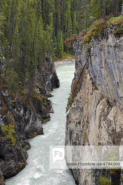 Athabasca Falls Wasserfall  Athabasca River Fluss  Jasper National Park Nationalpark  Canadian Rocky Mountains  Alberta  Kanada