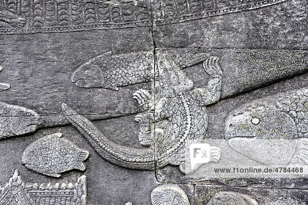 Relief  Krokodil und Fisch  am Bayon-Tempel  Angkor Thom  Angkor  UNESCO Weltkulturerbe  Siem Reap  Kambodscha  Südostasien  Asien