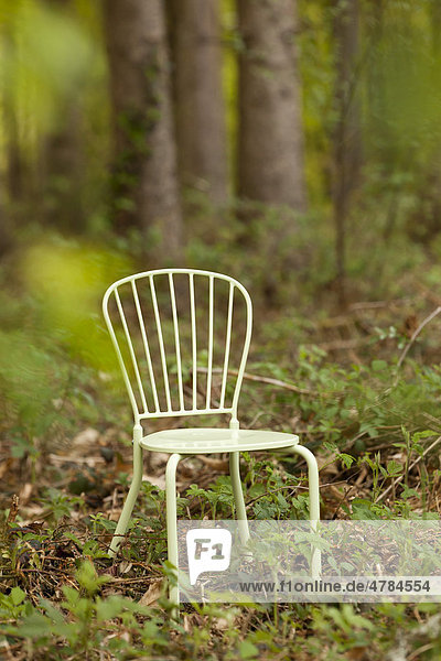 Stuhl steht im Wald