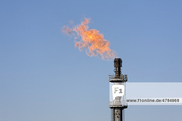 Gas torch of the Schwelgern coking plant ThyssenKrupp Steel factory in Bruckhausen Duisburg North Rhine-Westphalia Germany Europe