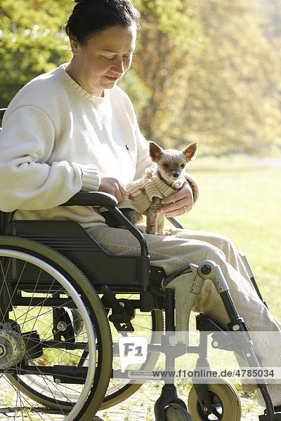 Frau sitzt im Rollstuhl mit einem kleinen Yorkshire Terrier auf dem Schoß