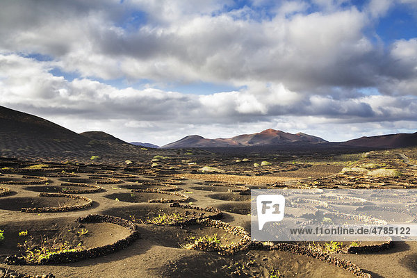 Blick auf die Feuerberge Weinbaugebiet La Geria Lanzarote Kanarische Inseln Spanien Europa