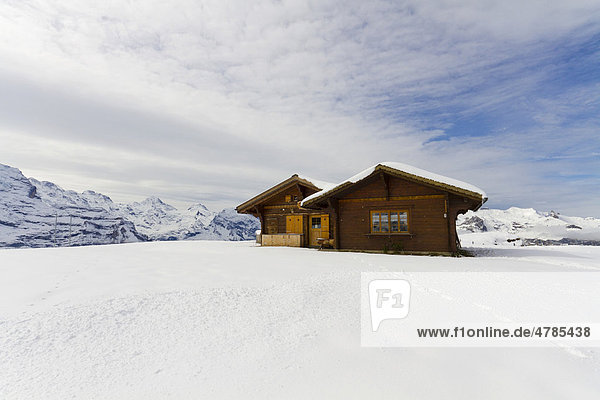Berghütte auf dem Männlichen  Grindelwald  Berner Oberland  Kanton Bern  Schweiz  Europa