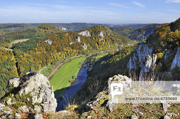 Blick vom Lenzenfelsen in das obere Donautal mit herbstlicher Vegetation  Landkreis Sigmaringen  Baden-Württemberg  Deutschland  Europa
