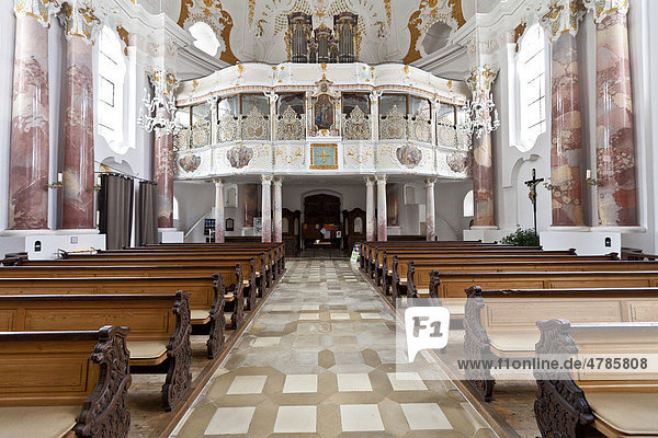 Frauenkirche von Dominikus Zimmermann im Rokkoko-Stil  Günzburg  Donauried  Schwaben  Bayern  Deutschland  Europa