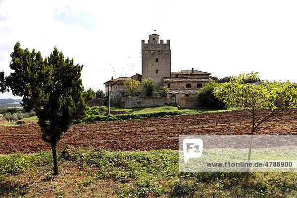 Castello della Chiocciola  14. Jahrhundert  in der Nähe von Siena  Toskana  Italien  Europa