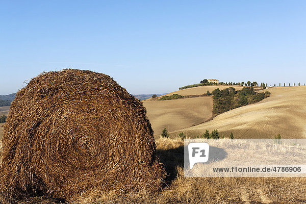 Strohballen in der ländlichen toskanischen Landschaft nach der Ernte im Herbst  Val d'Orcia  Orcia-Tal  Toskana  Italien  Europa