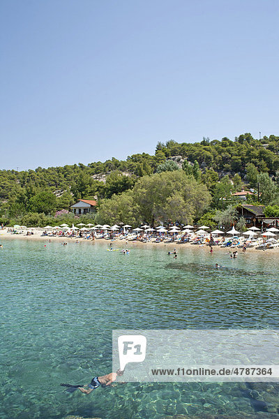 Kalogrias Strand auf der Halbinsel Sithonia  Chalkidiki  Makedonien  Griechenland  Europa