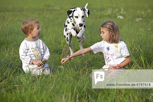 Kinder mit Dalmatiner auf einer Wiese