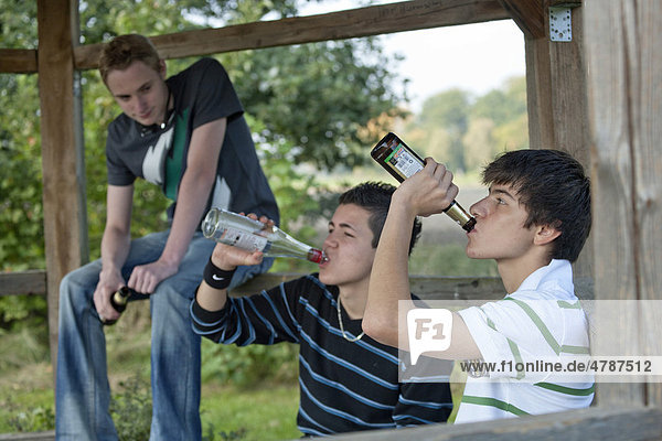 Teenagers drinking alcohol  binge drinking  posed scene