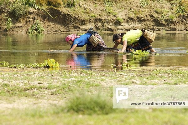Zwei Frauen beim Fischen von Garnelen im Süßwasser eines Flusses  Chitwan Nationalpark  Nepal  Asien