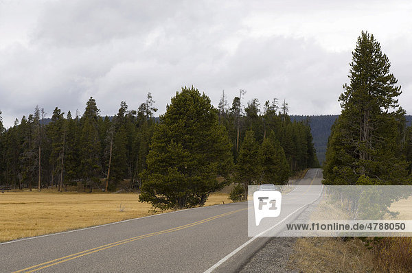 Road  Pelican Creek  Yellowstone National Park  Wyoming  USA  America
