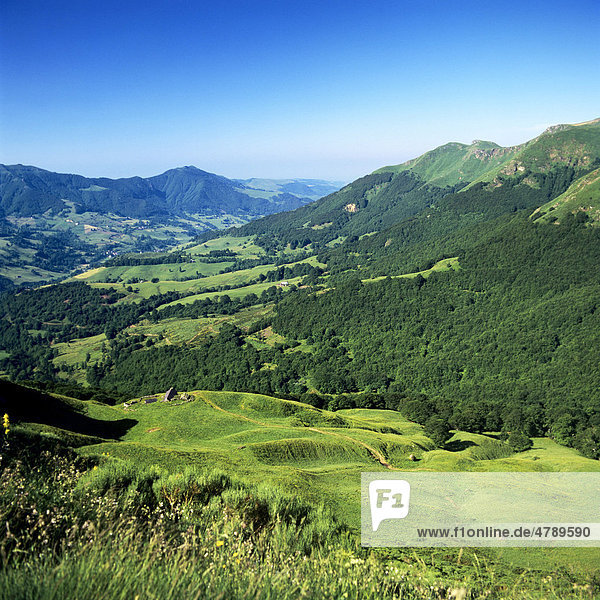 Tal des Massivs von Monts du Cantal  Auvergne  Frankreich  Europa