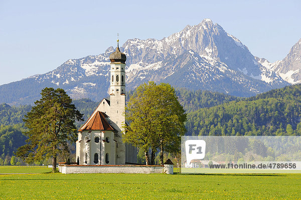 Wallfahrtskirche St. Coloman bei Füssen  Thannheimer Berge  Ostallgäu  Allgäu  Bayern  Deutschland  Europa
