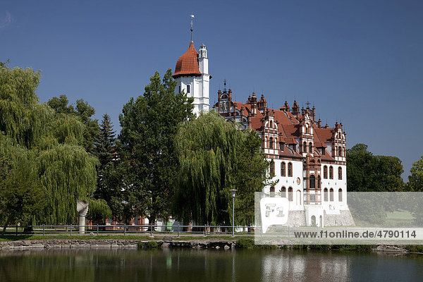 Schloss Basedow  Mecklenburgische Schweiz  Mecklenburg-Vorpommern  Deutschland  Europa