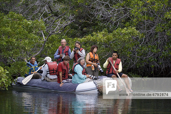 Tourists in dinghy in mangrove lagoon  Galapagos Islands  Pacific Ocean
