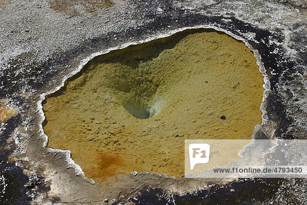 Heiße Quelle mit Sinterrand  Upper Geyser Basin  Yellowstone-Nationalpark  USA
