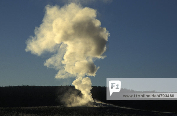 Sunrise through steam plume rising from Old Faithful Geyser  Yellowstone  USA