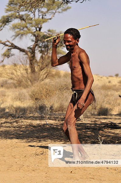 Mann vom Stamm der Khomani-San mit Speer und traditioneller Kleidung in der Kalahari  Südafrika  Afrika