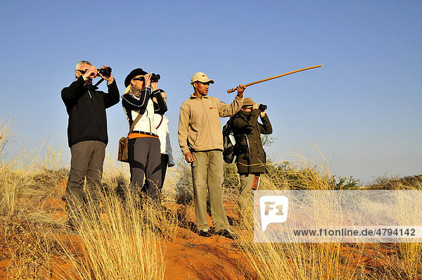 Guides vom Stamm der Khomani-Buschleute  Khomani-San  der !Xaus Lodge erklären Touristen auf einer Fußwanderung die Natur der Kalahari  Kgalagadi Transfrontier Park  Südafrika  Afrika