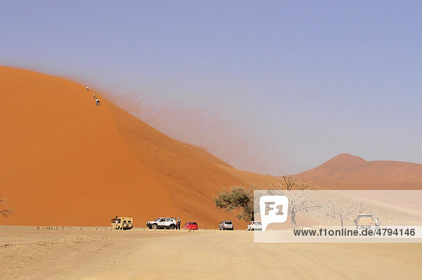 Tourists climbing Dune 45 near Sossusvlei  sand storm  Namib Desert  Namib Naukluft Park  Namibia  Africa