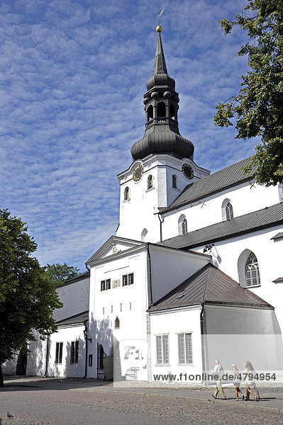 Dom  Domkirche  Tallinn  ehemals Reval  Estland  Baltikum  Nordeuropa
