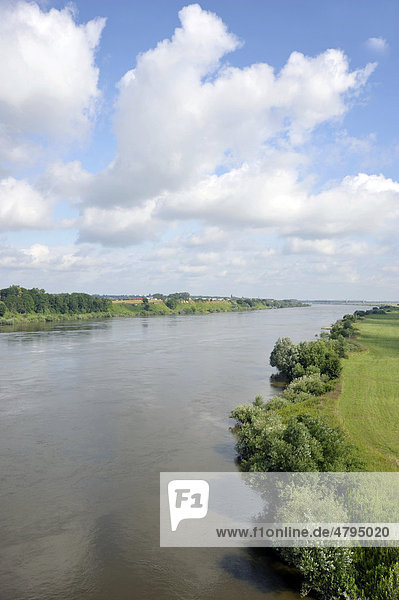 Vistula River  landscape near Marienburg  Malbork  Mazury  Poland  Europe