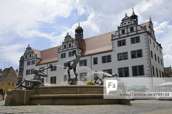 Marktplatz mit Brunnen und Rathaus  Torgau  Landkreis Nordsachsen  Sachsen  Deutschland  Europa