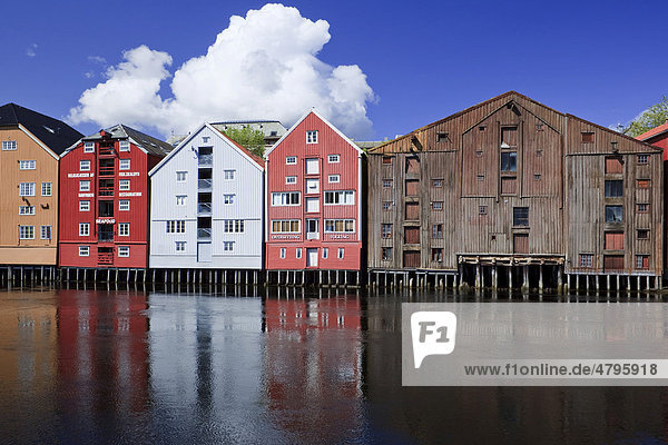 Bunte Holzhäuser auf Pfählen am Fluss Nidelv  Trondheim  Norwegen  Skandinavien  Europa Holzhäuser