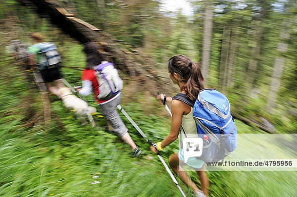 Women hiking  Reit im Winkl  Chiemgau  Upper Bavaria  Bavaria  Germany  Europe