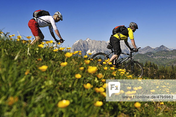 Mountainbiker auf der Eggenalm  hinten der Wilde Kaiser  Reit im Winkl  Bayern  Deutschland  Tirol  Österreich  Europa