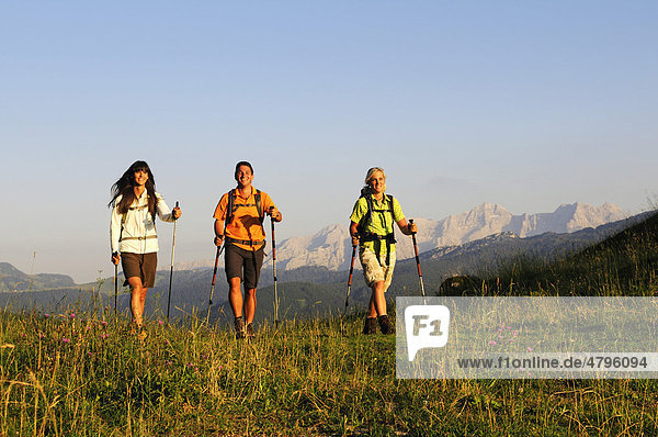 Hikers on the Winklmoosalm mountain pasture  Reit im Winkl Chiemgau  Upper Bavaria  Bavaria  Germany  Europe