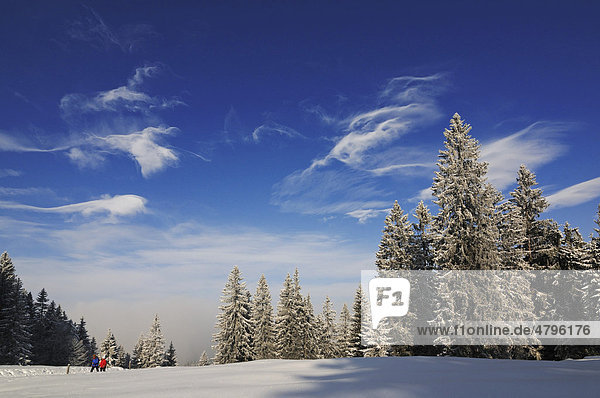 Winterwanderung auf dem ersten Premium-Winterwanderweg Deutschlands  Hemmersuppenalm  Reit im Winkl  Bayern  Deutschland  Europa