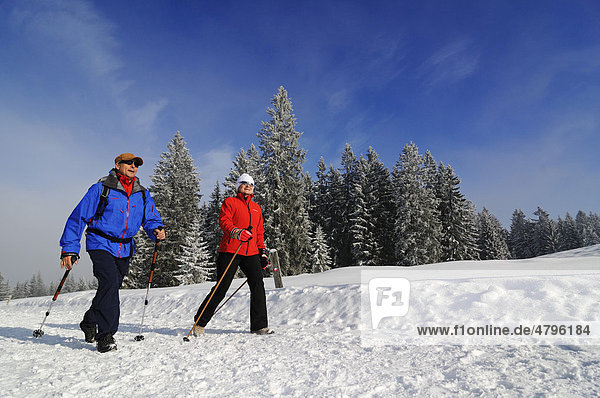 Wanderer  Winterwanderung auf dem ersten Premium-Winterwanderweg Deutschlands  Hemmersuppenalm  Reit im Winkl  Bayern  Deutschland  Europa