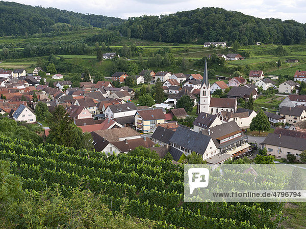 Das Weindorf Bickensohl  Stadt Vogtsburg im Kaiserstuhl  Region Breisgau  Baden-Württemberg  Süddeutschland  Deutschland  Europa