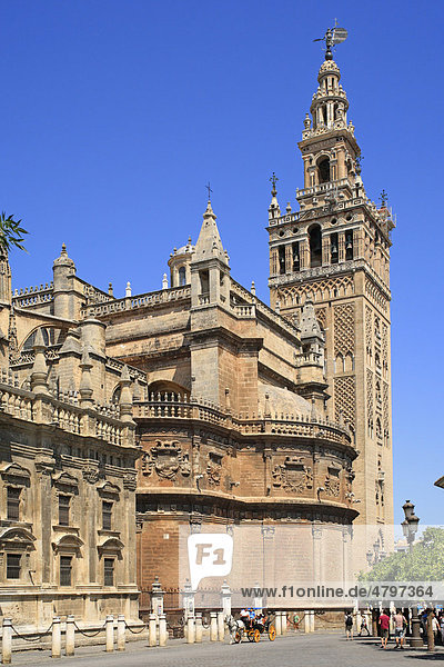 Giralda  church  Cathedral Santa Maria  Sevilla  Andalucia  Andalusia  Southern Spain  Europe