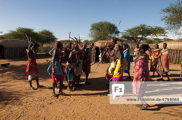 Männer vom Samburu-Stamm beim traditionellen Tanz  Loisaba Wilderness Conservancy  Laikipia  Kenia  Afrika