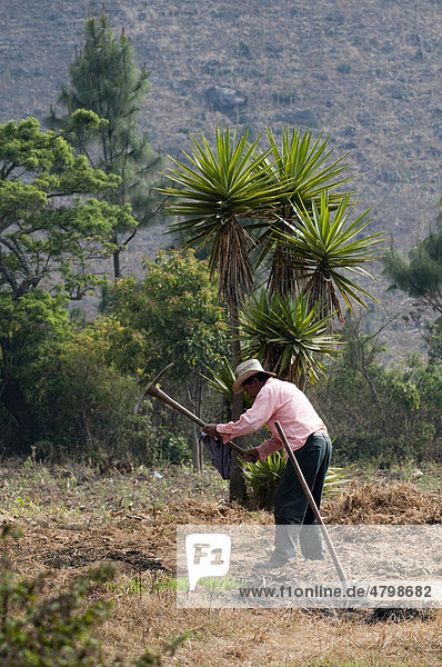 Mann arbeitet auf dem Feld  San Lucas Toliman  Lago de Atitlan  Guatemala  Zentralamerika