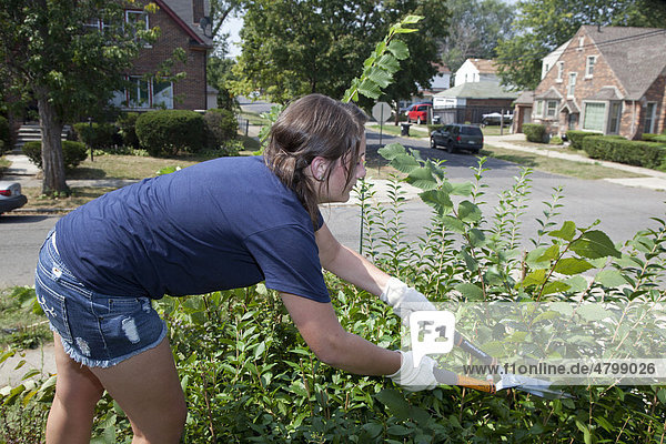Studentin bei der Gartenarbeit auf einem leerstehenden Grundstück im Morningside-Viertel  gemeinnützige Arbeit als Teil eines Programms zur Orientierung für neue Studenten an der Wayne State University  Detroit  Michigan  USA  Amerika