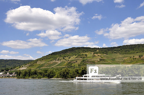 Excursion boat near Lorch  UNESCO World Heritage Cultural Landscape Upper Middle Rhine Valley  Hesse  Germany  Europe