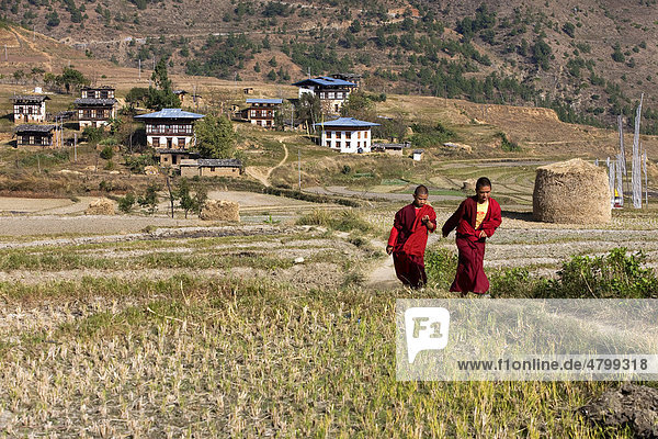 Buddhistische Mönche laufen über Reisterrasse  Chimi Lhakhang  Bhutan  Königreich Bhutan  Südasien