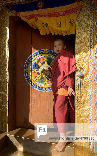 Child monk in Chimi Lhakhang Temple  which is dedicated to Drukpa Kinley  the divine madman  a pilgrimage site for barren women  Punakha  Bhutan  Kingdom of Bhutan  South Asia
