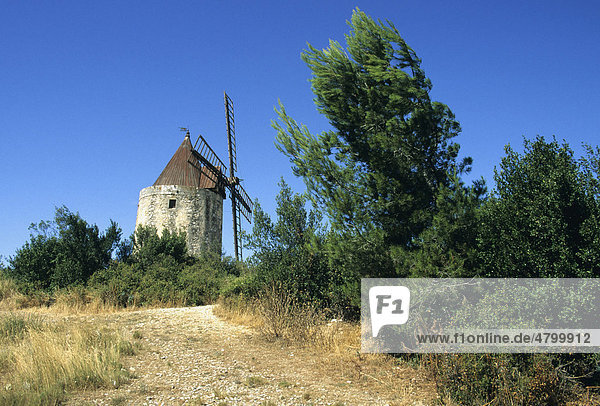 Windmühle Moulin de Daudet  Provence  Frankreich  Europa