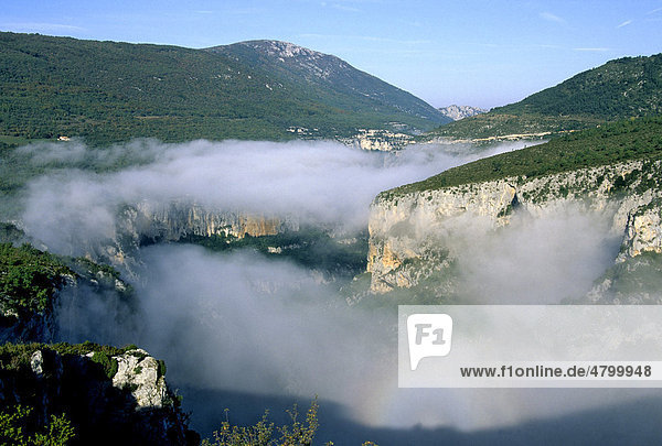 Verdonschlucht  Gorges du Verdon  Alpes de Haute Provence  Frankreich  Europa