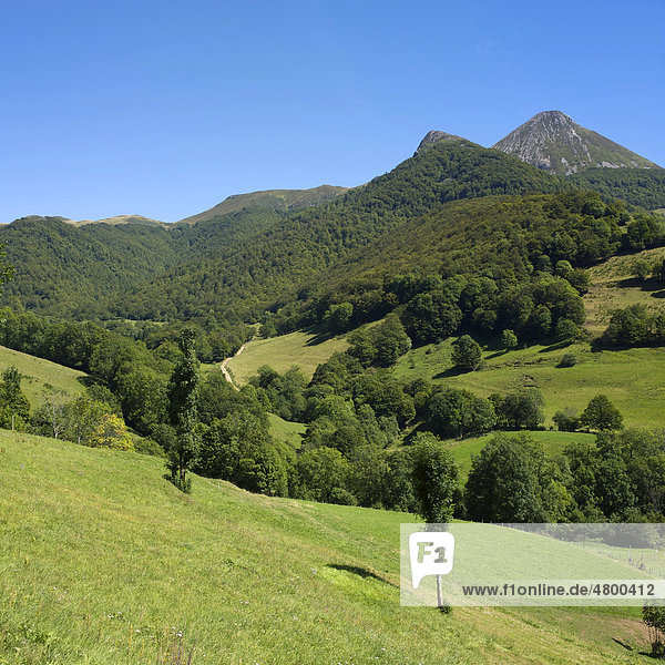 Berg Monts du Cantal  DÈpartement Cantal  Region Auvergne  Frankreich  Europa