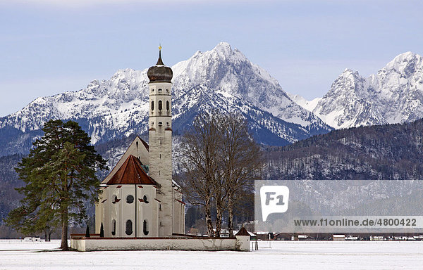 Walfahrtskirche St. Coloman  Schwangau  Alpen  Neuschwanstein  Ostallgäu  Bayern  Deutschland  Europa
