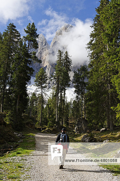 Adolf-Munkel-Weg unter den Geißlerspitzen  Geisslerspitzen  Naturpark Puez-Geisler  Villnößtal  Südtirol  Italien  Europa