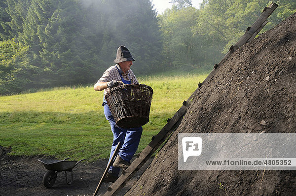 Köhler trägt Holz zum Schacht eines Kohlenmeilers  Walpersdorf  Kreis Siegen-Wittgenstein  Nordrhein-Westfalen  Deutschland  Europa