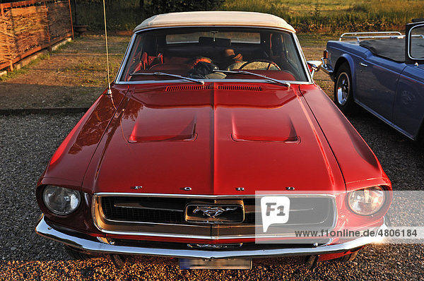 Oldtimer  Frontansicht vom Ford Mustang Cabriolet  Baujahr 1967  147 KW  200 PS