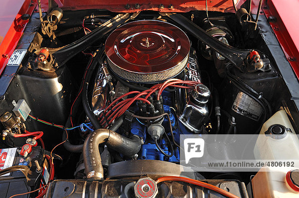 Oldtimer Detail  Motorraum vom Ford Mustang Cabriolet  Baujahr 1967  147 KW  200 PS